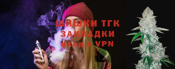 индика Алексин
