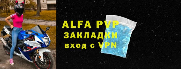 индика Алексин