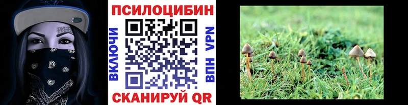 купить наркоту  Лесной  Галлюциногенные грибы прущие грибы 