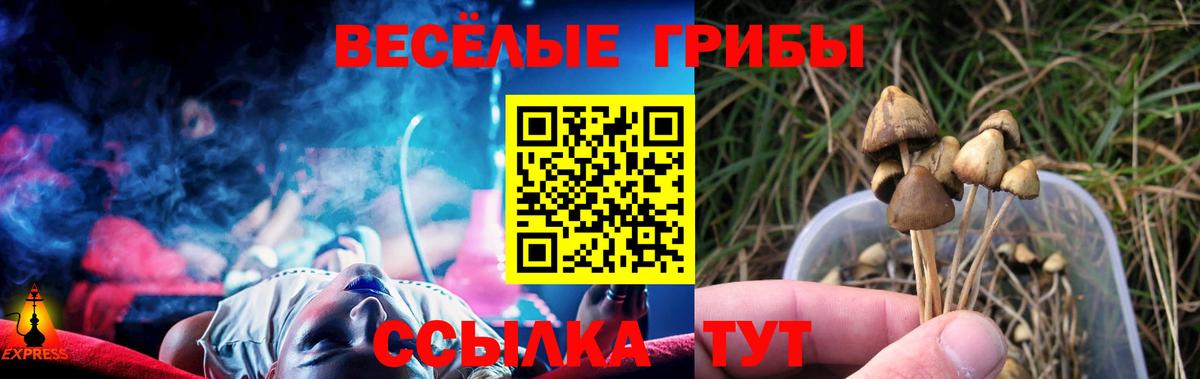 Лесной  Галлюциногенные грибы мухоморы  Вход с VPN  Псилоцибиновые грибы Psilocybine cubensis 