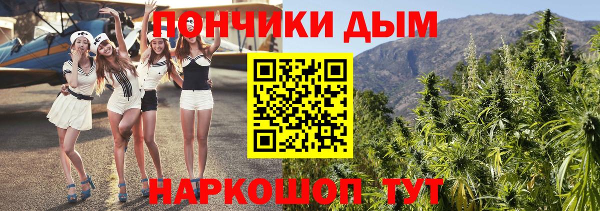 Лесной  МАРИХУАНА семена  Конопля MAZAR  Каннабис марихуана  Вход с VPN 